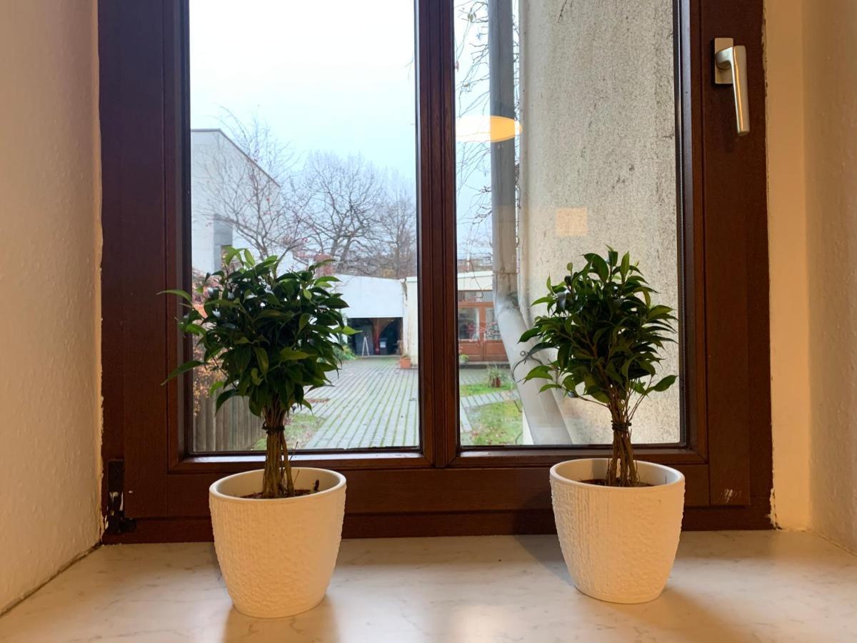 Hinterhaus Apartment No4 لبسيا المظهر الخارجي الصورة